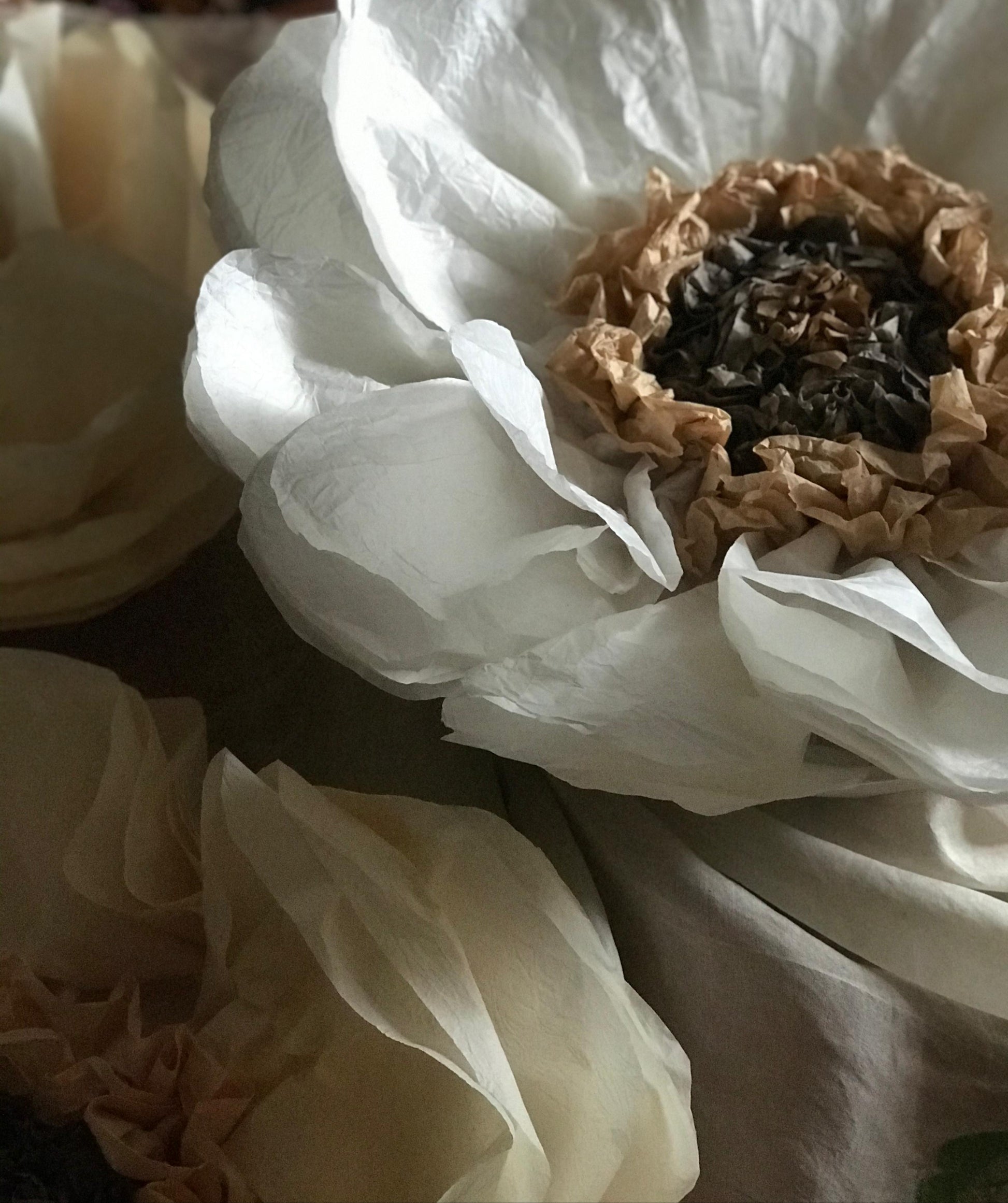 Dove Hand-Dyed Giant Tissue Paper Flower Backdrop Decoration - sonafey